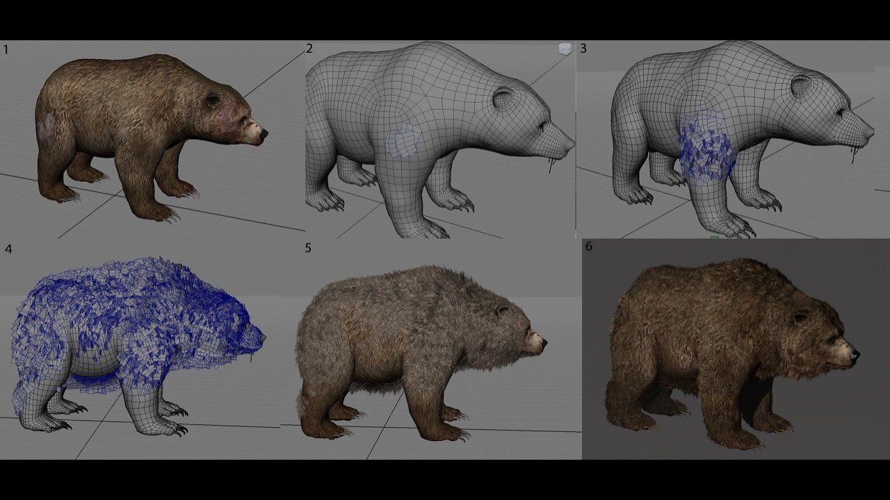 hair cards bear ( BRAZIL)