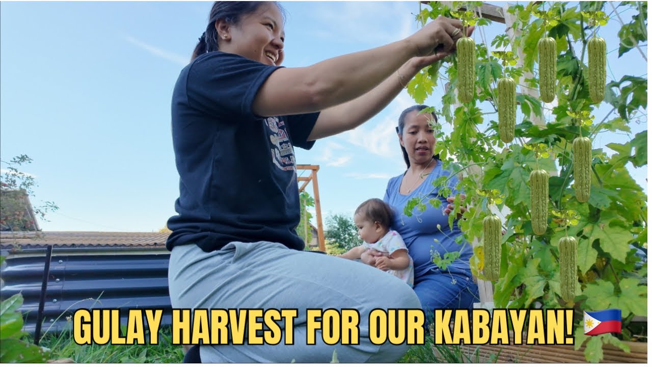 Sharing My Gulay Harvest with Kababayan in Germany | Filipina Simple Life in German Village