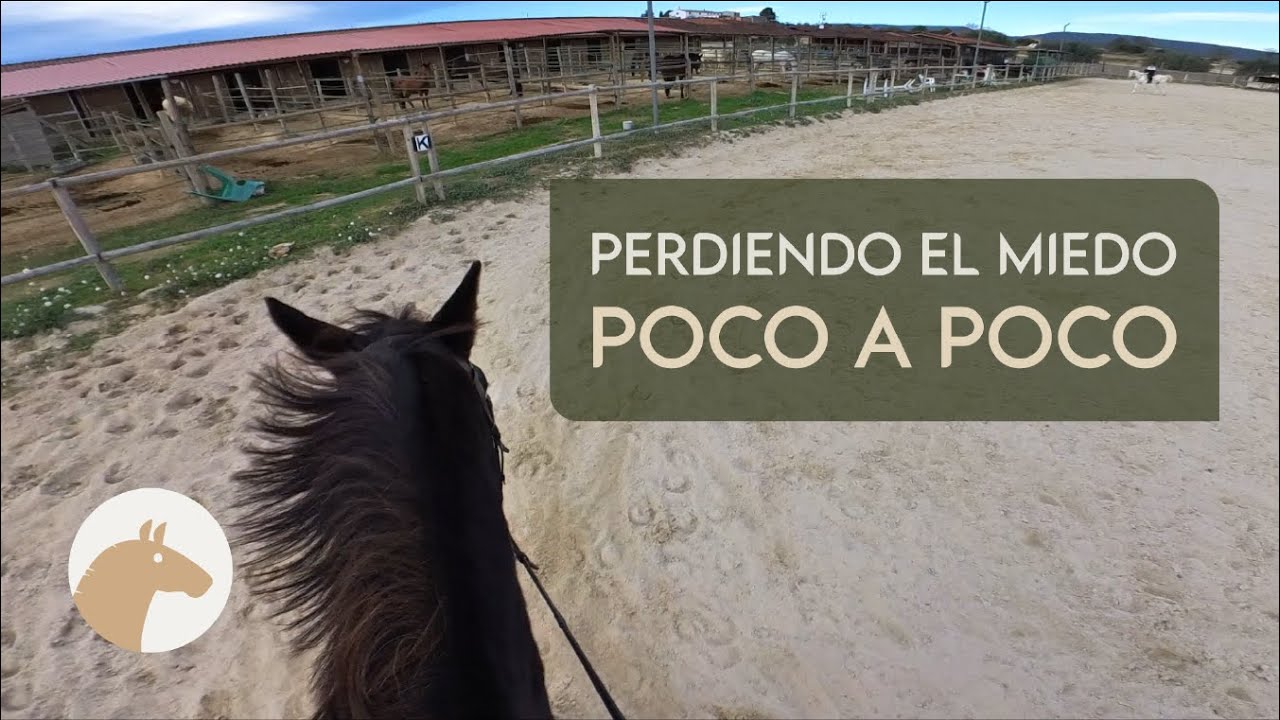 Perdiendo el Miedo Poco a Poco | Equitación Sin Estrés