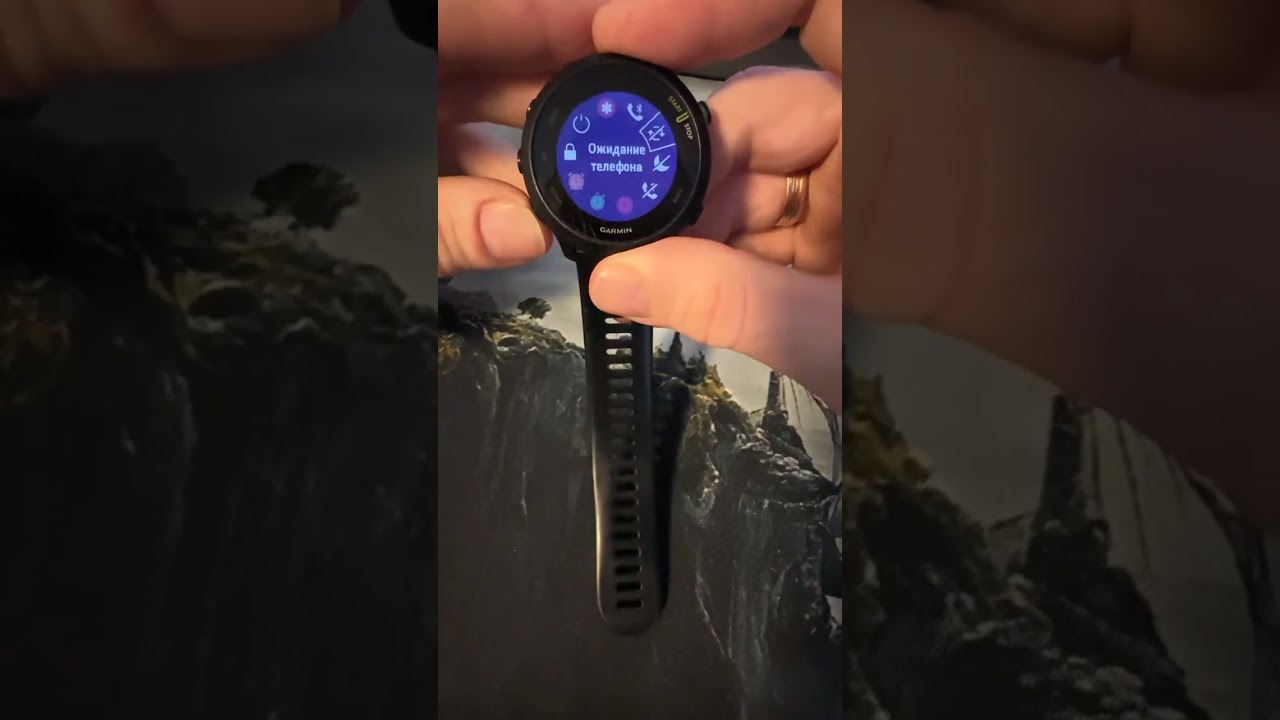 Garmin Forerunner 55. Настройка