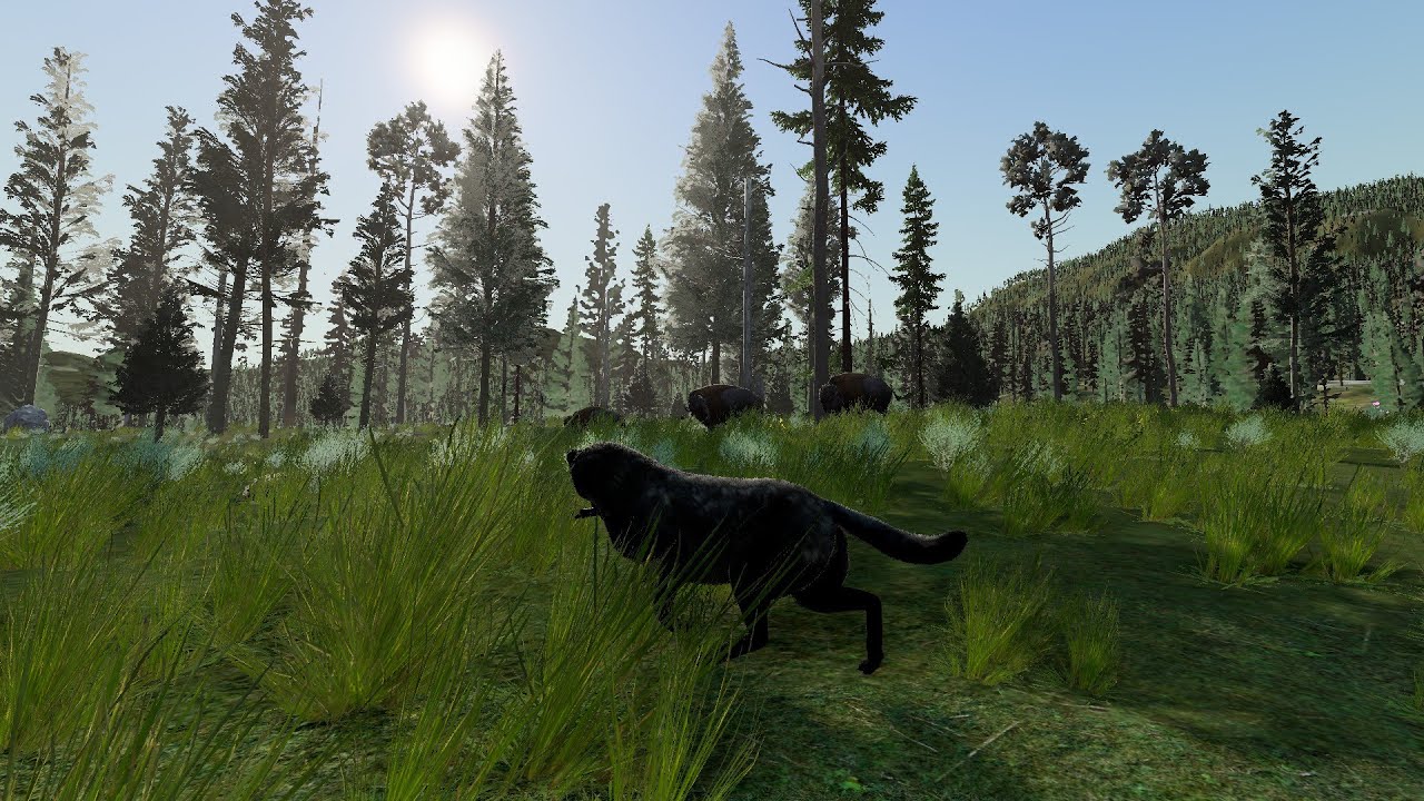 WolfQuest 3 Early Access: Fleas Are Getting Annoying, & Bear Surprise - Corvid #11