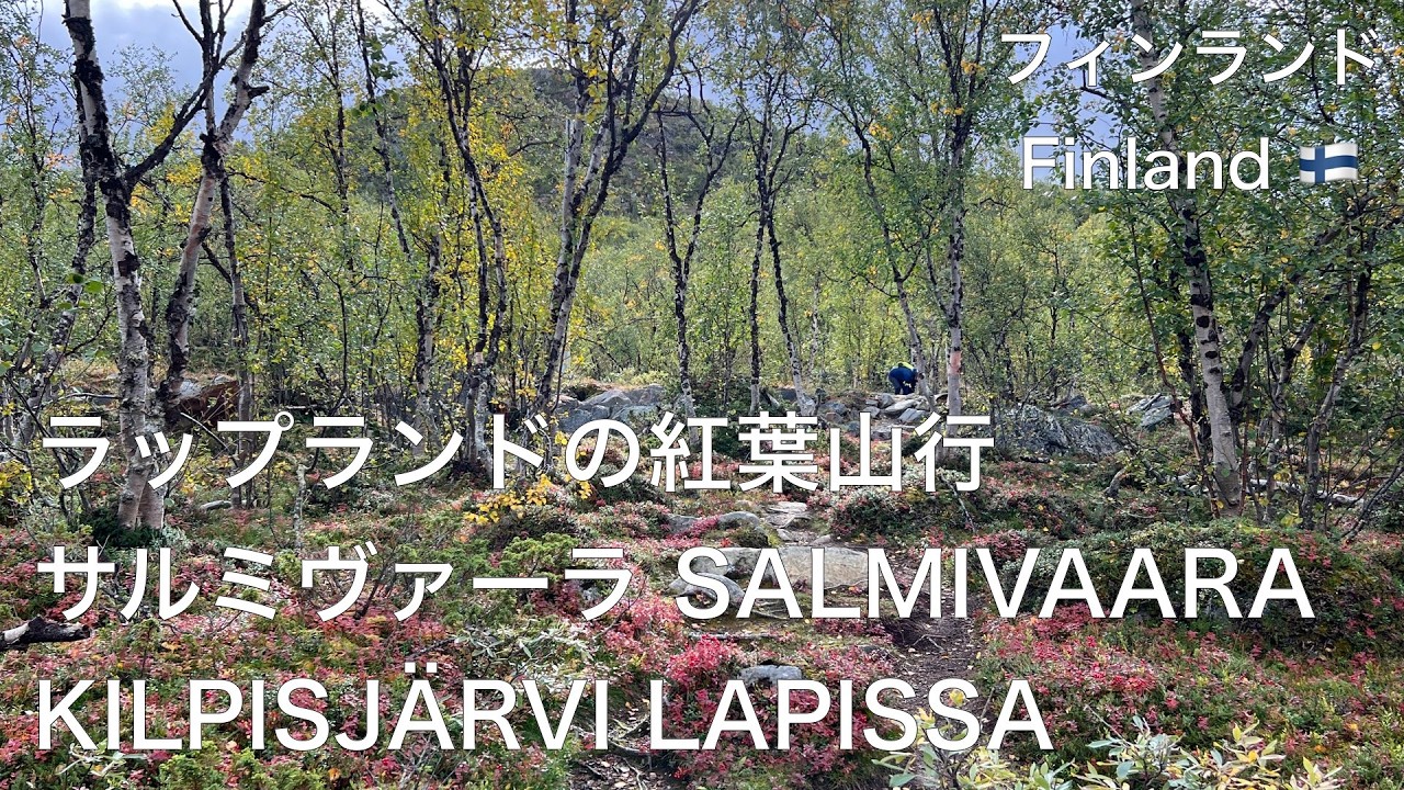 フィンランドのラップランド北西部キルピスヤルヴィ地区で見られた美しい紅葉と周辺の山々を始めとする大自然の風光明媚な景観をお楽しみ下さい。 Salmivaara&Iiton palsa 4.9.2025