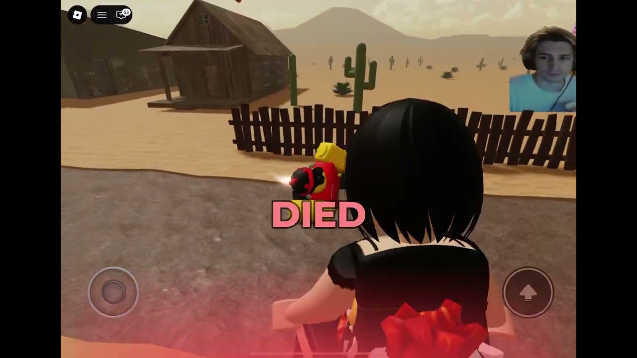 Playing in a pro server