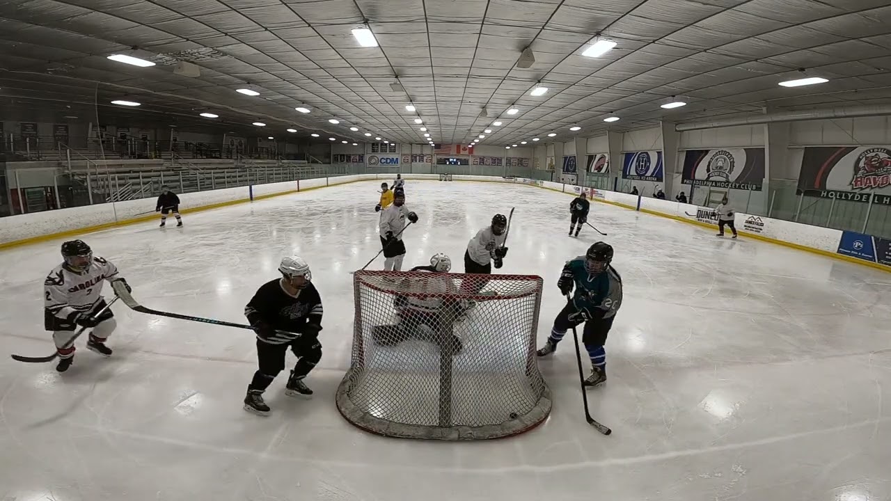 Morning Shinny Hollydell 3/5/2026