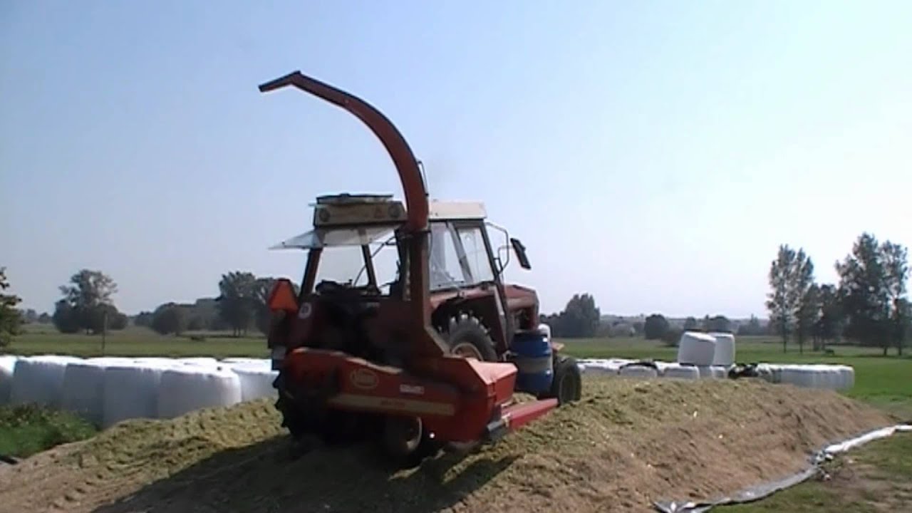 Koszenie Kukurydzy 2011