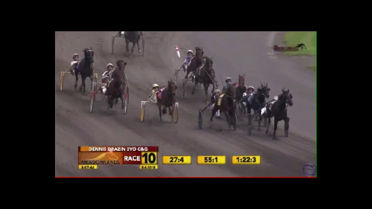 Helpisontheway RACES