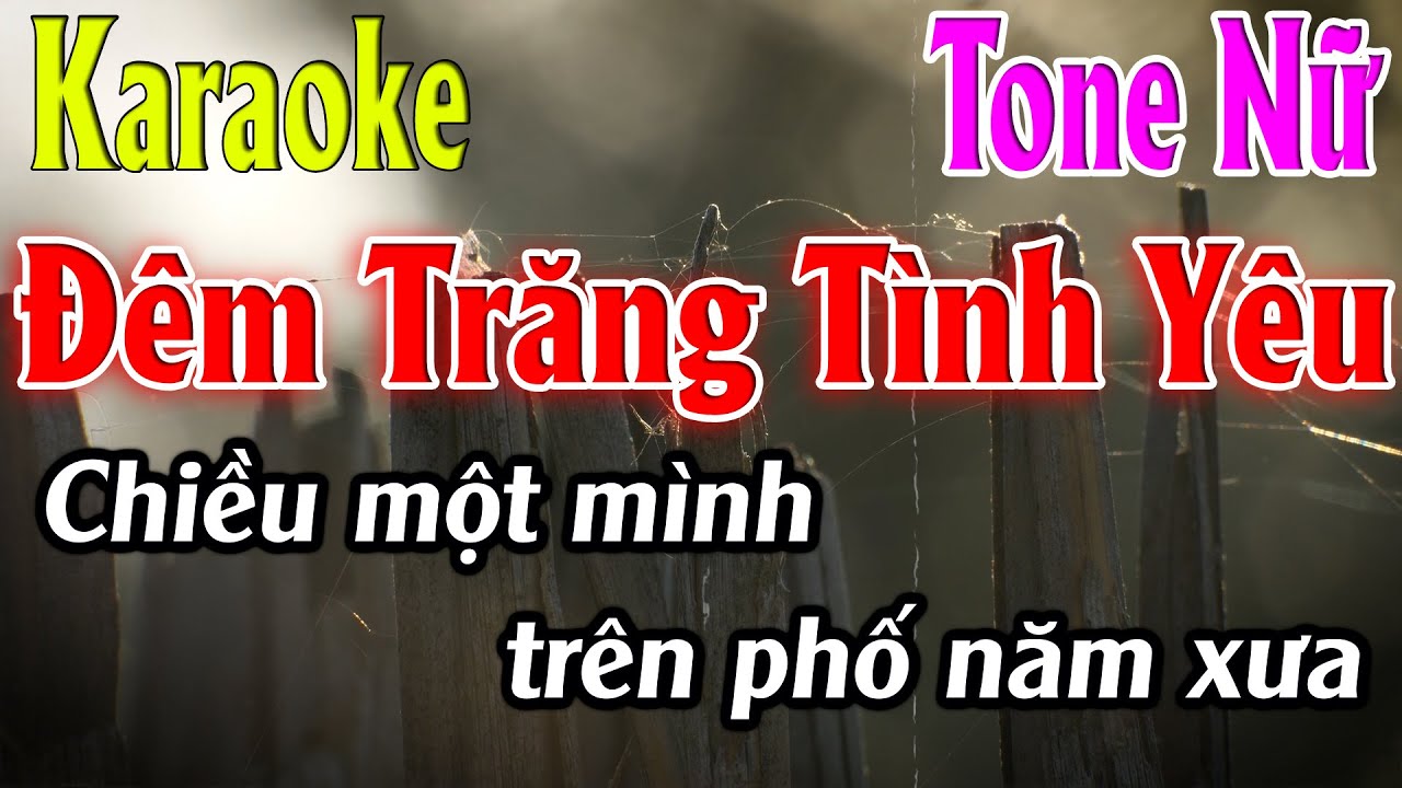 Đêm Trăng Tình Yêu Karaoke Tone Nữ Karaoke Lâm Organ - Beat Mới