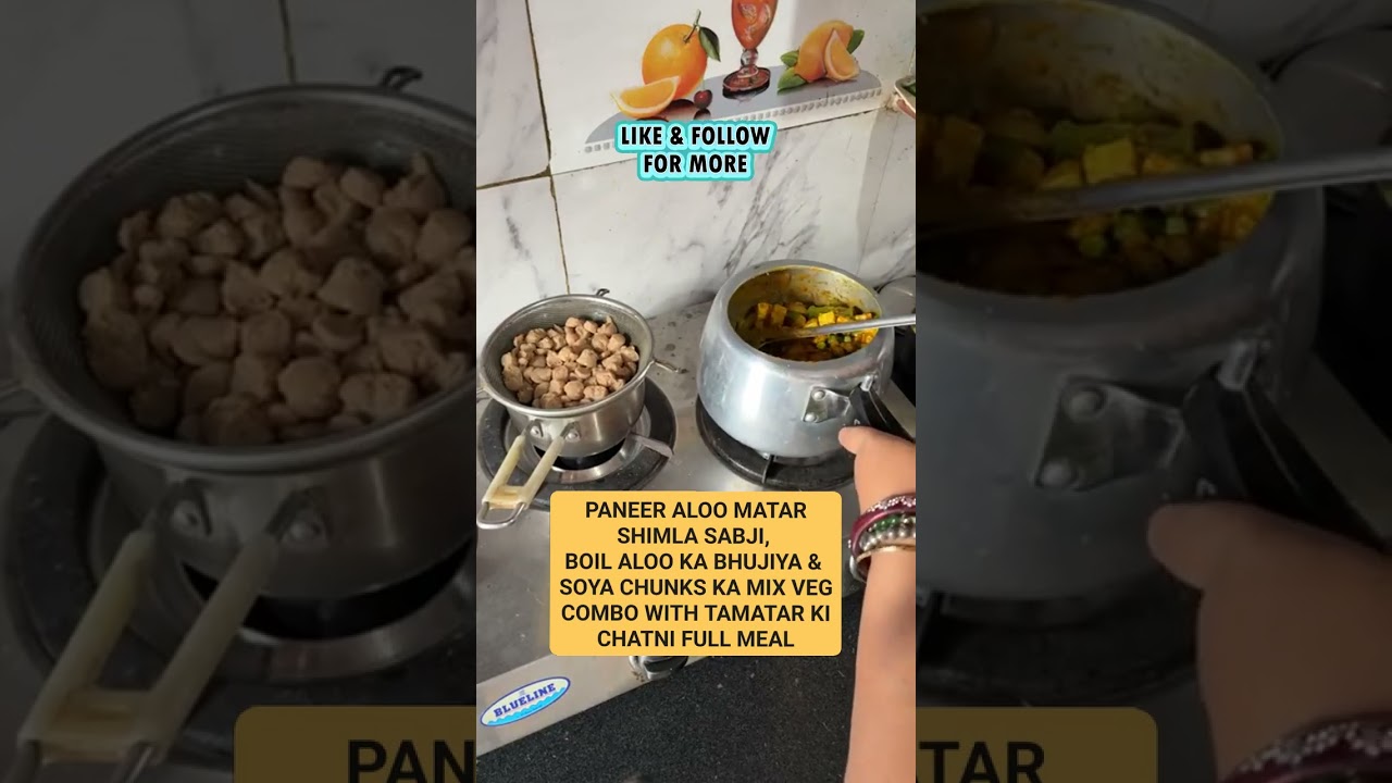 FULL MEAL ON A BUDGET Paneer Aloo Matar Shimla Ki Sabji and More
