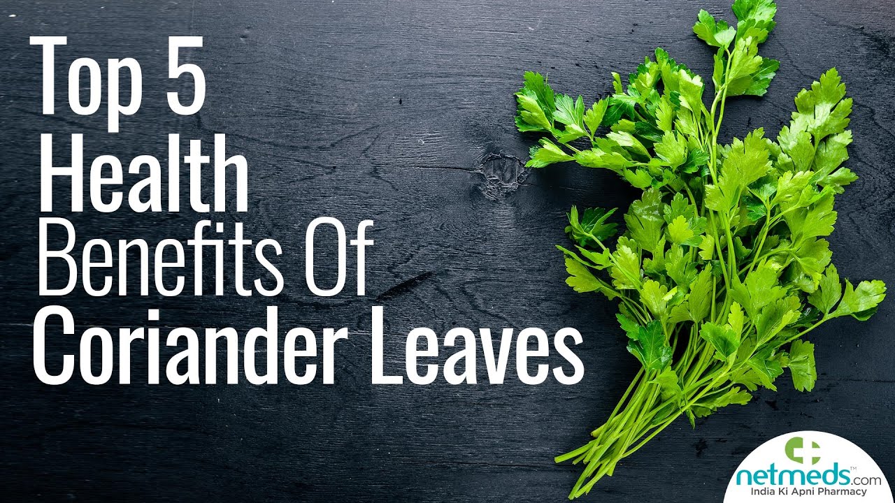 Top 5 Health Benefits Of Coriander Leaves