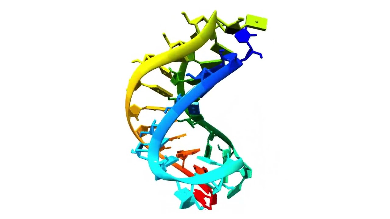 Does Molecular Dynamics Really Improve RNA Models?