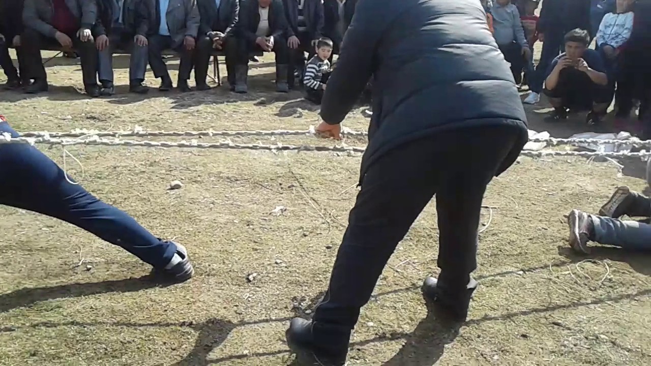 Бұқа тартыс Жылыбұлақ