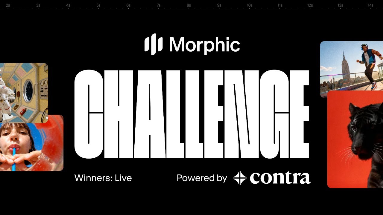 Morphic Challenge: Winners Announcement