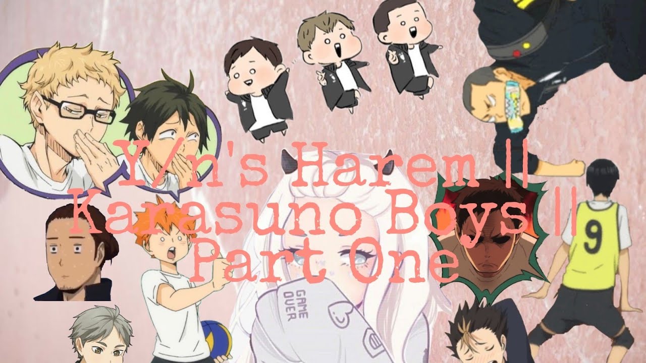 Y/N's Harem || Karasuno Boys || Ft. I Hate Boys by Baby Frankie || Part One