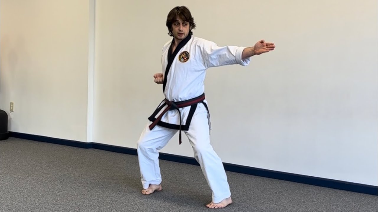 Tang Soo Do Hyung - Naihanchi 1-3