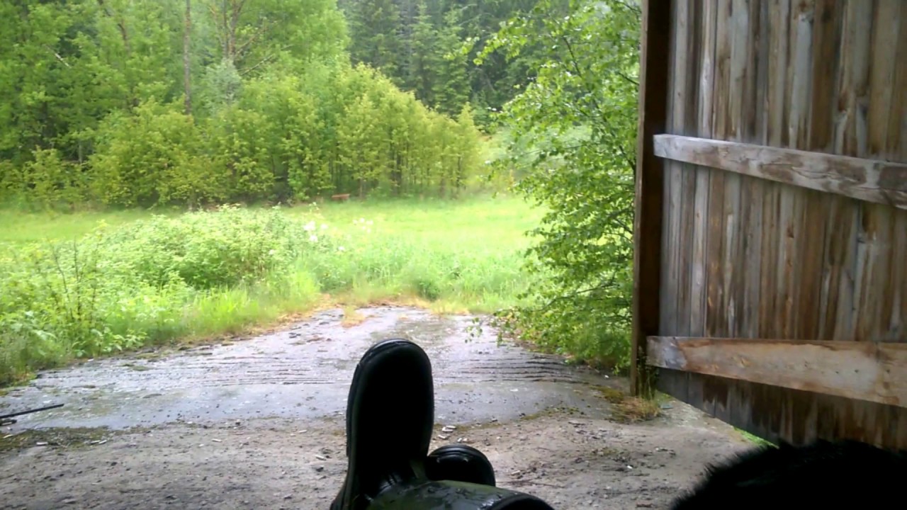 Ingenting - Bjørnen