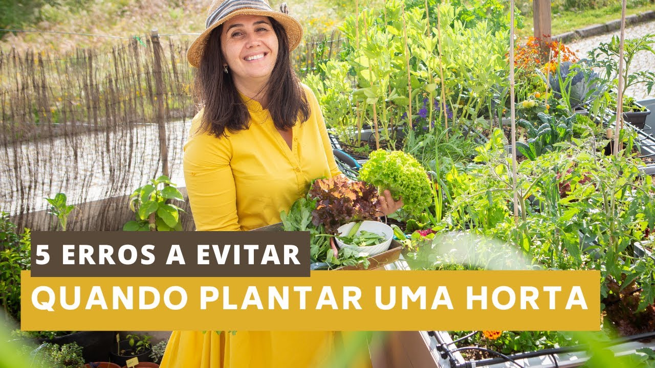 5 erros a evitar quando plantar uma horta