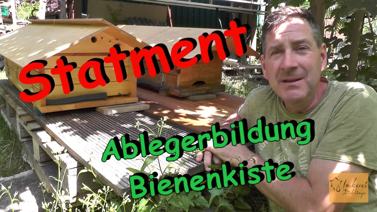 Statement Anlegerbildung in der Bienenkiste