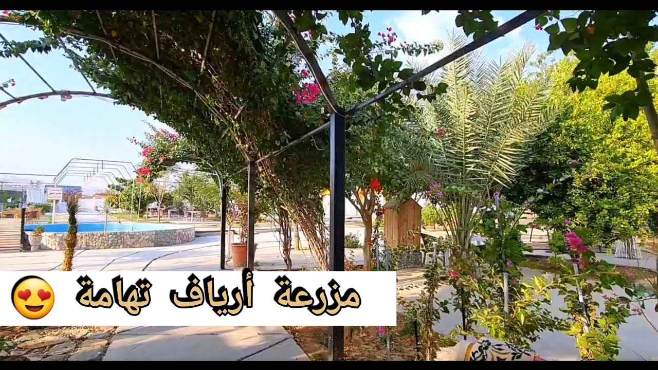 مزرعة أرياف تهامة (المجاردة)