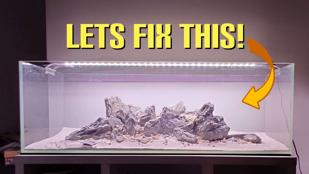 Fixing Our Seiryu Stone Aquascape!