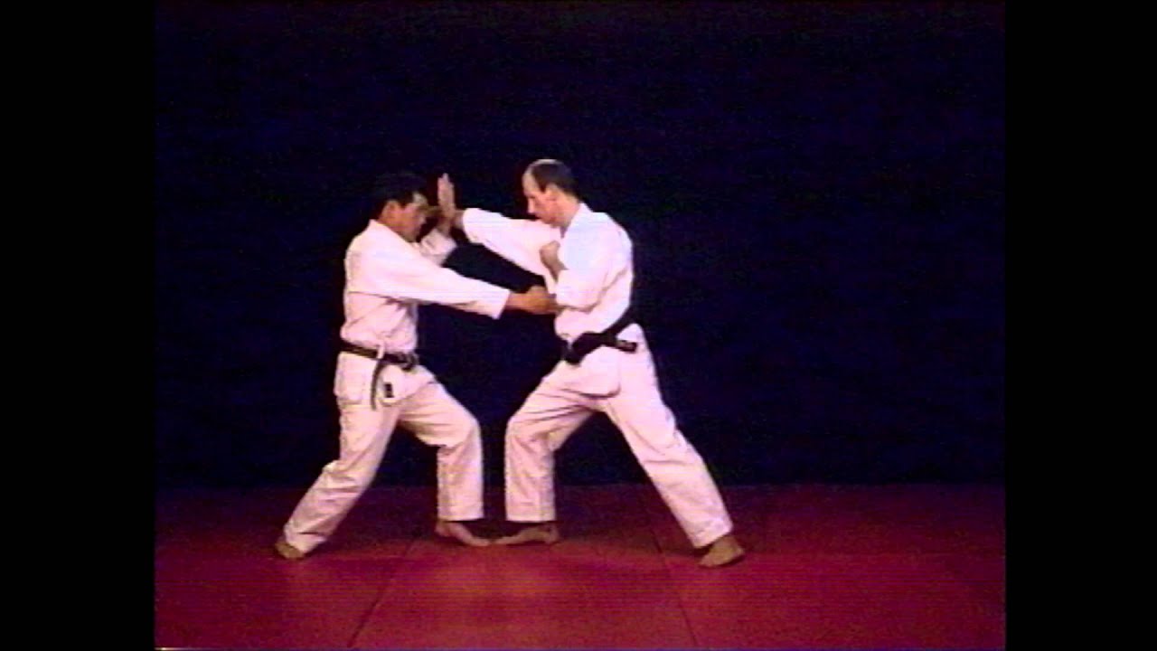 Kushanku and application by Sakagami sensei