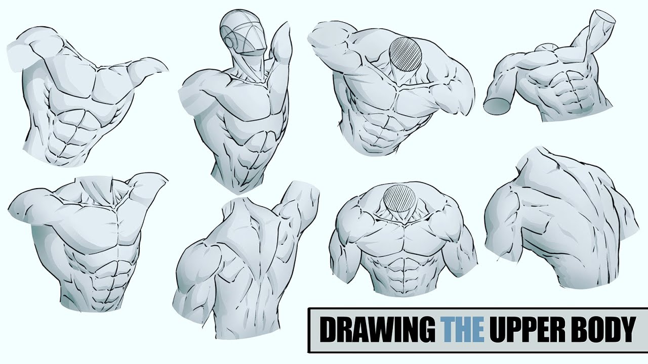 Drawing the Upper Body of the Male Character