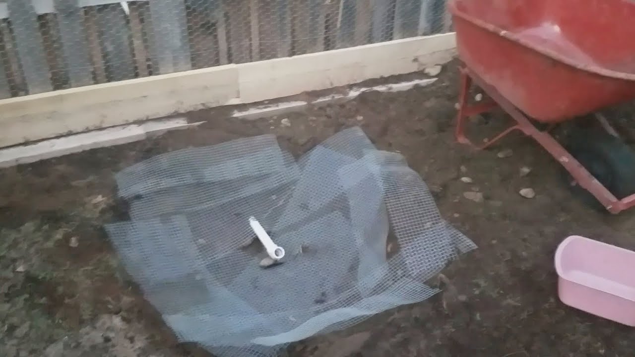 Outdoor Tortoise & Iguana Cage Build Part 1: The Watering Hole