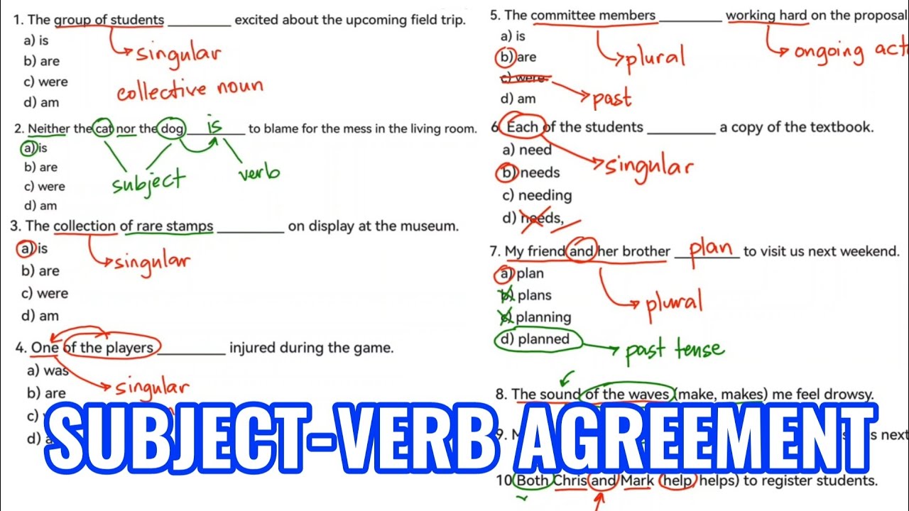 Subject Verb Agreement Practice | Exam Reviewer