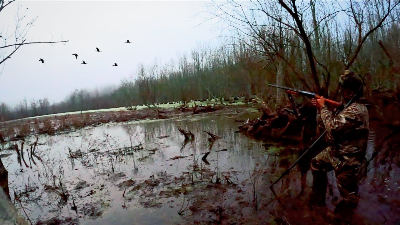 Woodies in the timber - Testing out my new Franchi Affinity 3.5