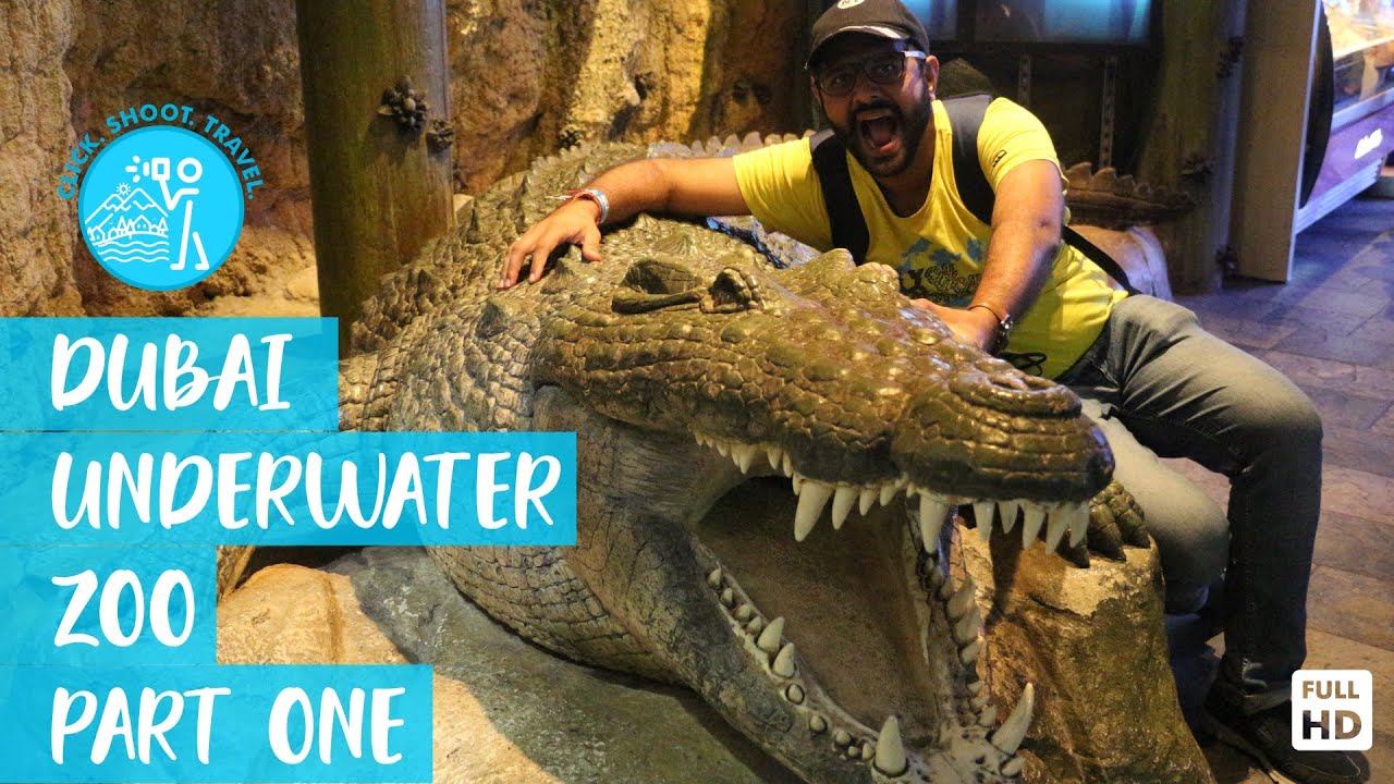 DUBAI UNDERWATER ZOO -  RATS SWIMMING IN WATER, OTTERS, FISH SPITTING WATER, BLUE MACAW  | PART 1