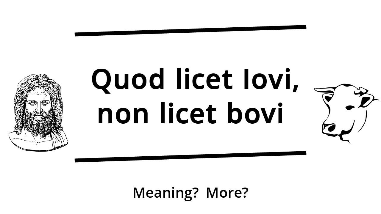 Quod licet Iovi, non licet bovi | Latin proverb | Verbis Latinis