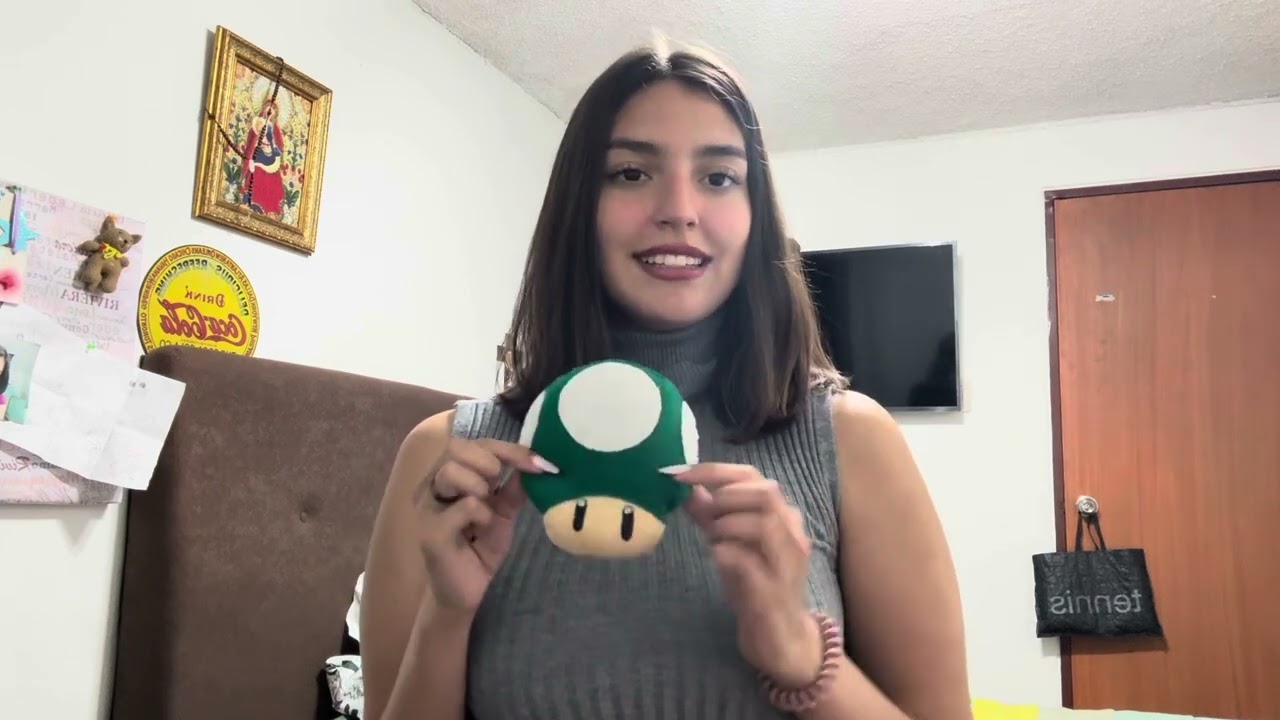 Video presentation Work and Travel USA- Summer 2026