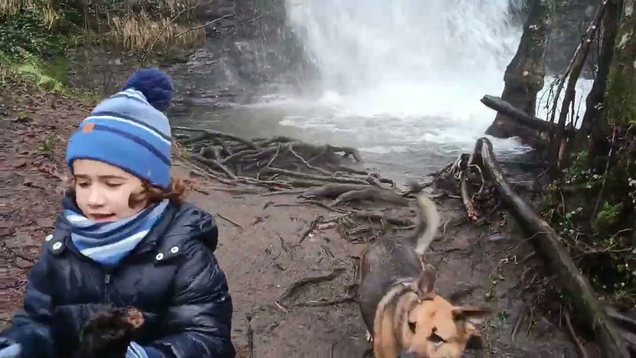Por el arroyo de Zancayones 01 02 26