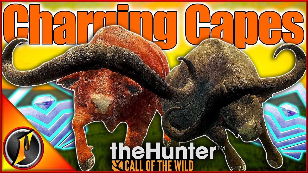 CHARGING Diamond Capes vs High Caliber Pack Weapons! | theHunter Call of the Wild