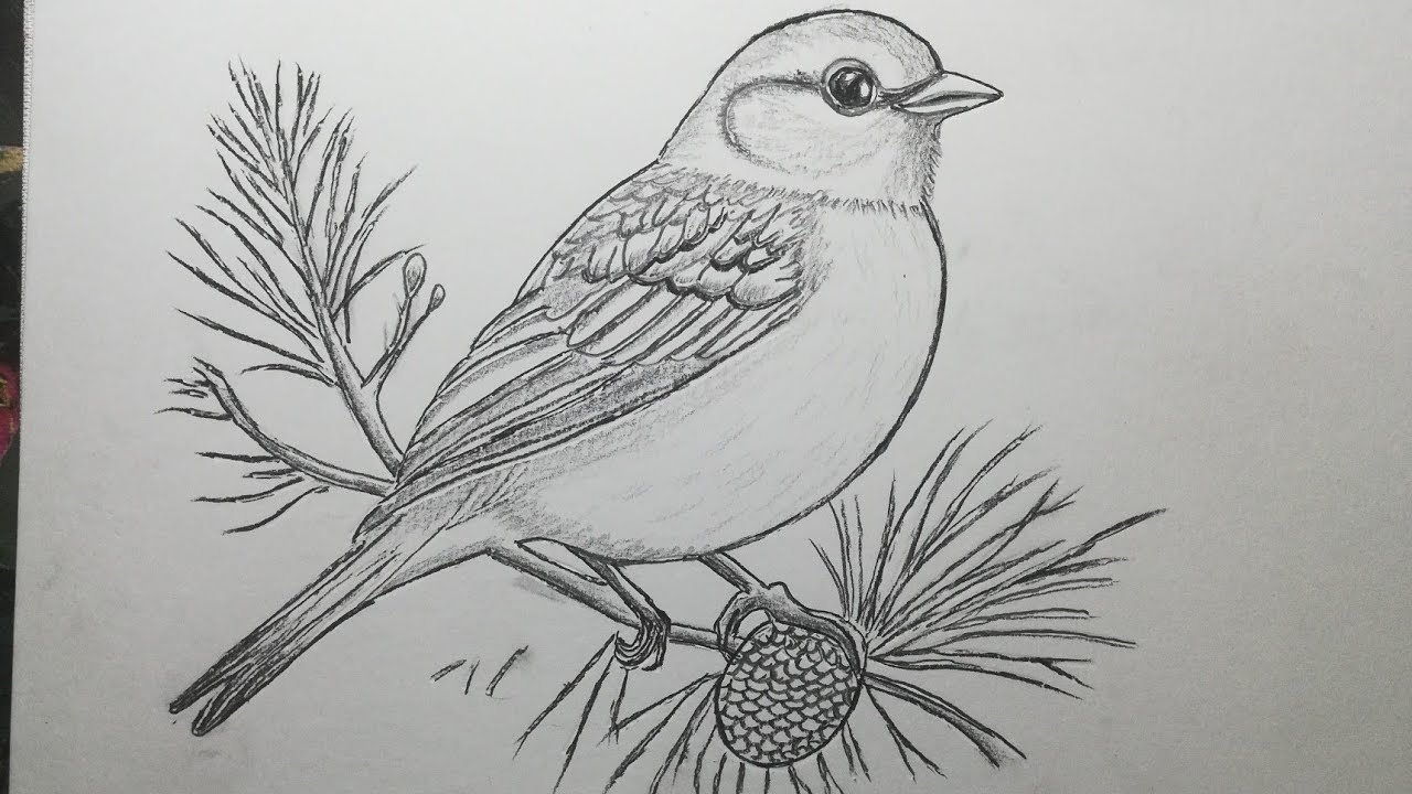 #art #drawing #winter Cardinal