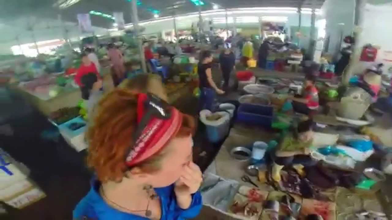 GingerNews AsiaTrip