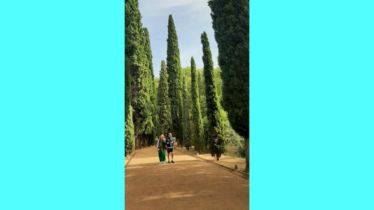 alhambra grenade 1