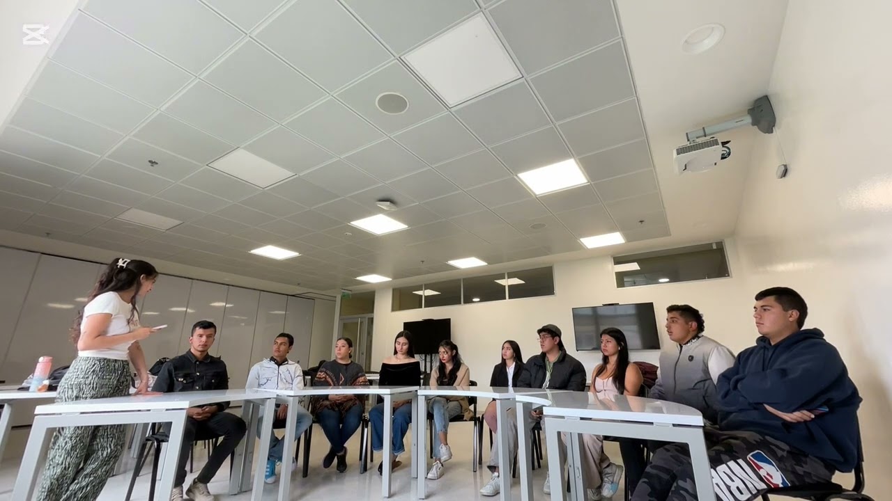 Focus Group. Trabajo investigación de mercados.
