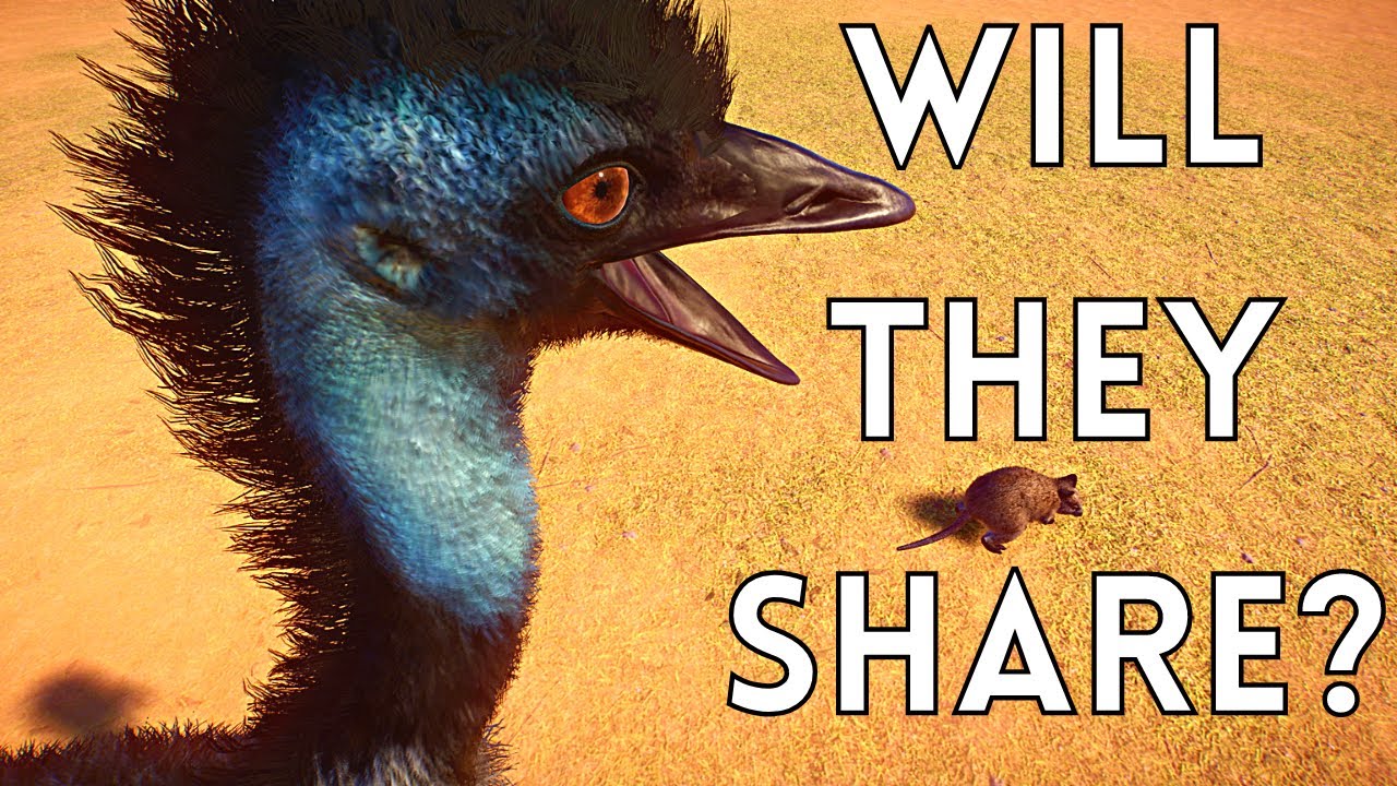 Can 4 Oceania Species Share a Habitat?