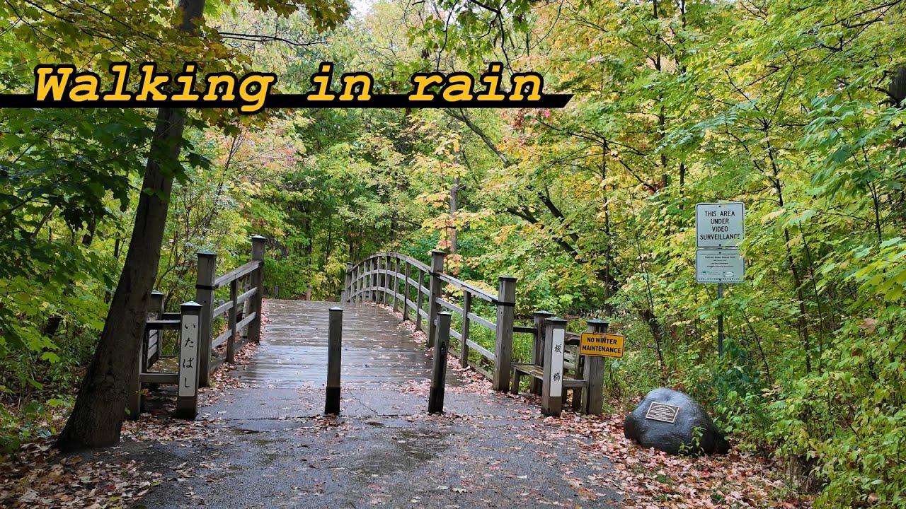 No human around ... walking in rain #asmr