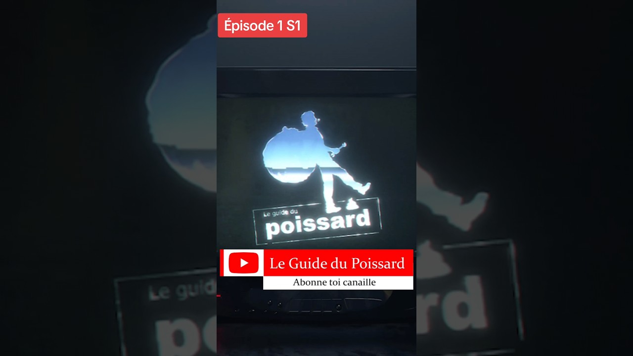 Tour d'Europe en Van LES COULISSES  #vanlife #voyage #amenagersonvan #vivreenvan #malinois #humour