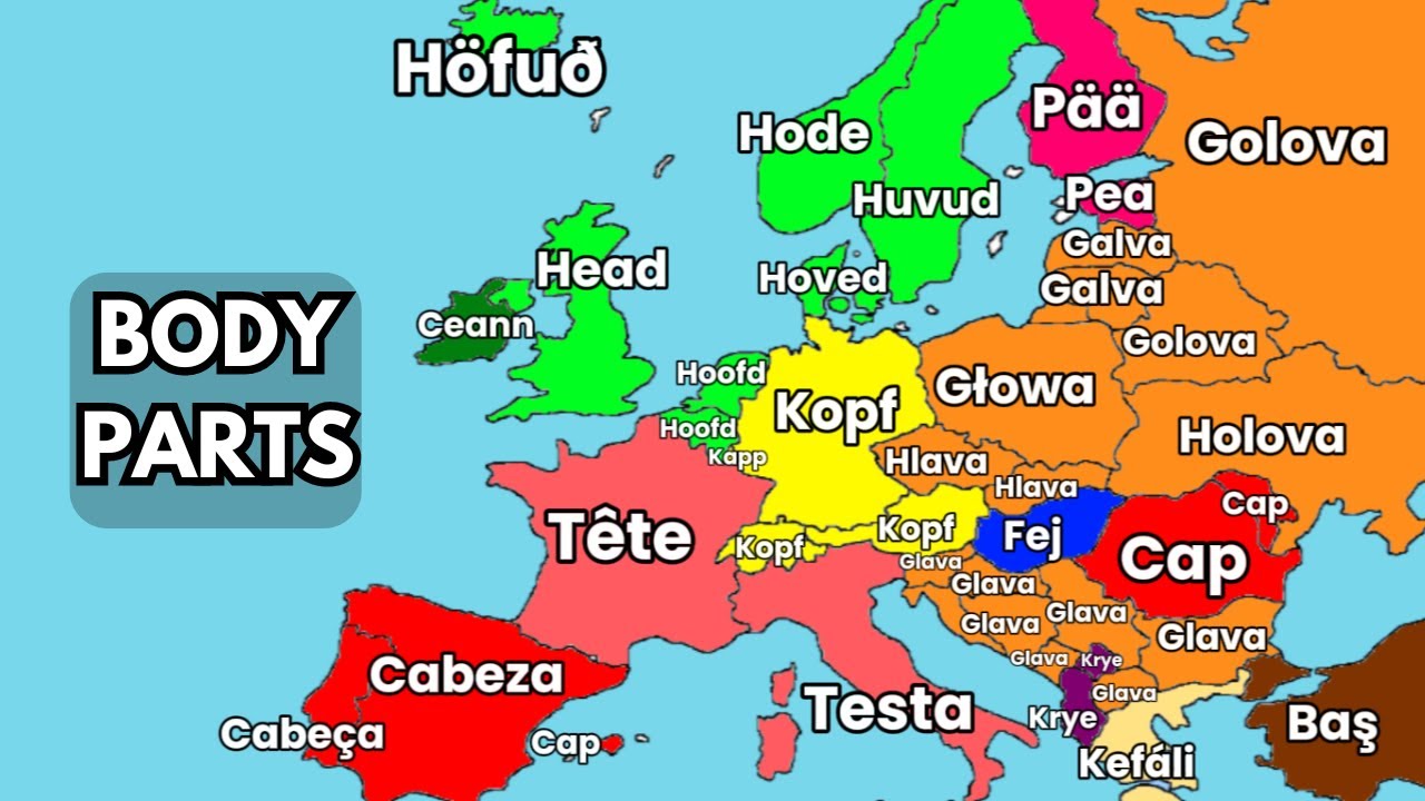 European Languages COMPARISON | Body Parts
