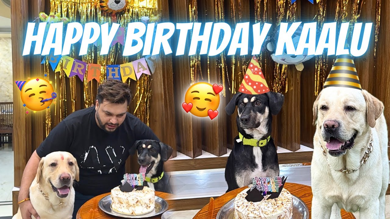 Celebrating Kaalu’s First Birthday 🥳
