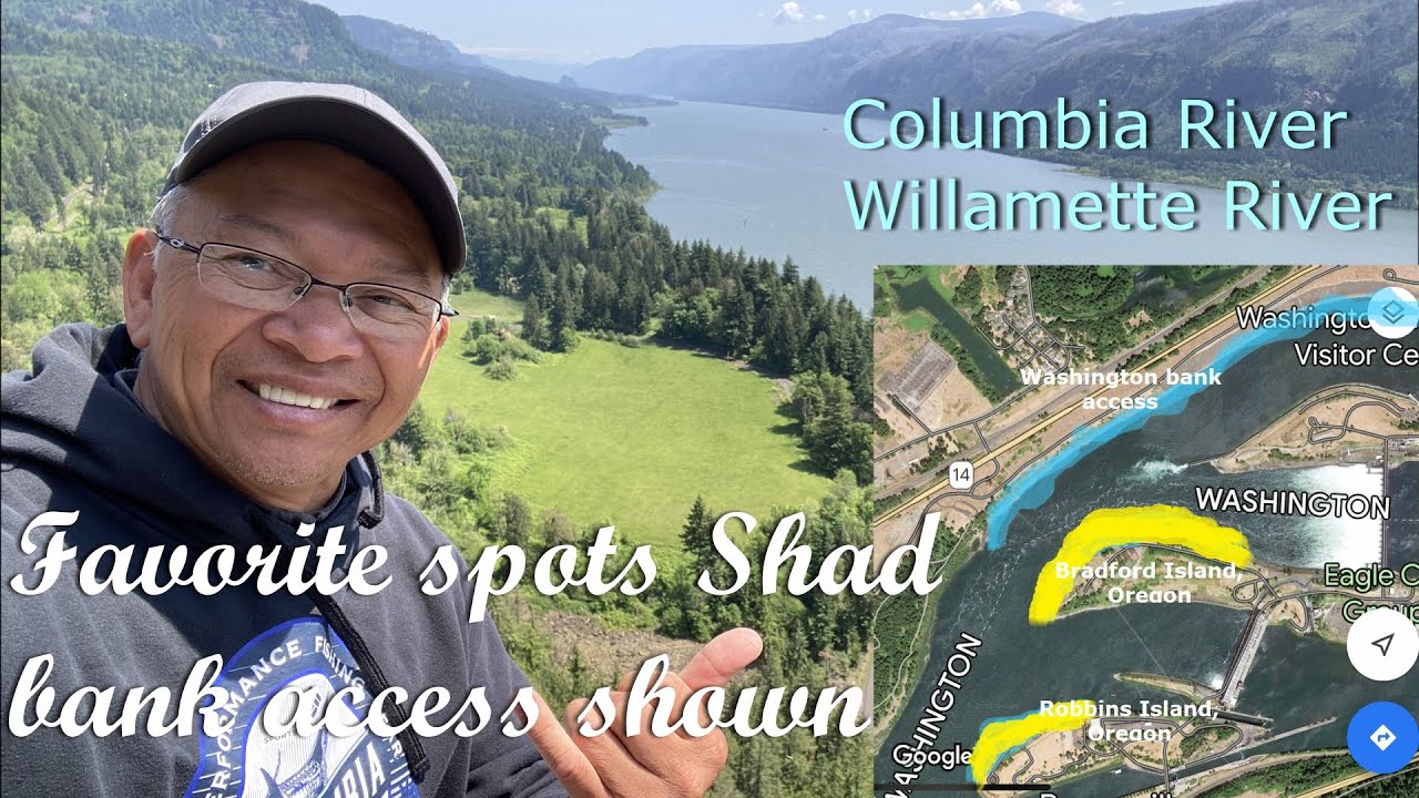 Bank Fishing for American Shad, Willamette River and Columbia River.