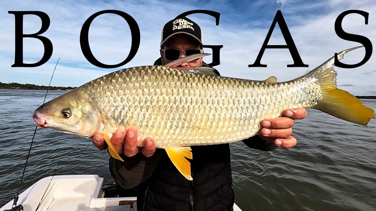 Pescando Bogas en Paso de la Patria...