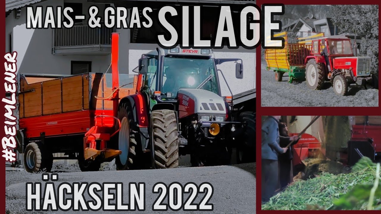 Maisernte 2022: Steyr beim Mais Häckseln und Gras einfahren #BeimLener #steyr #pöttinger