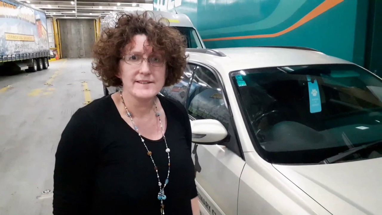 Picton Vet travels with pet on the Interislander