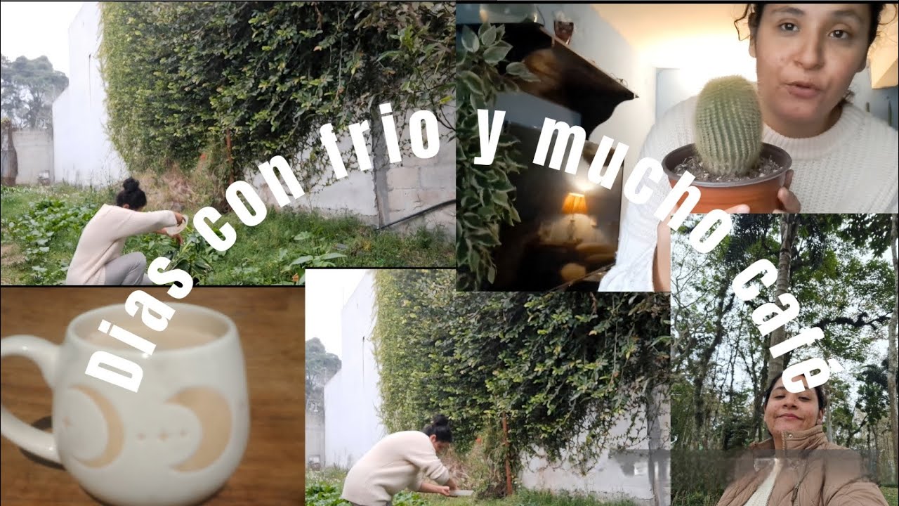 Café por la mañana+Regando mis plantas🪴Les platico como me siento aqui en mi canal🌻