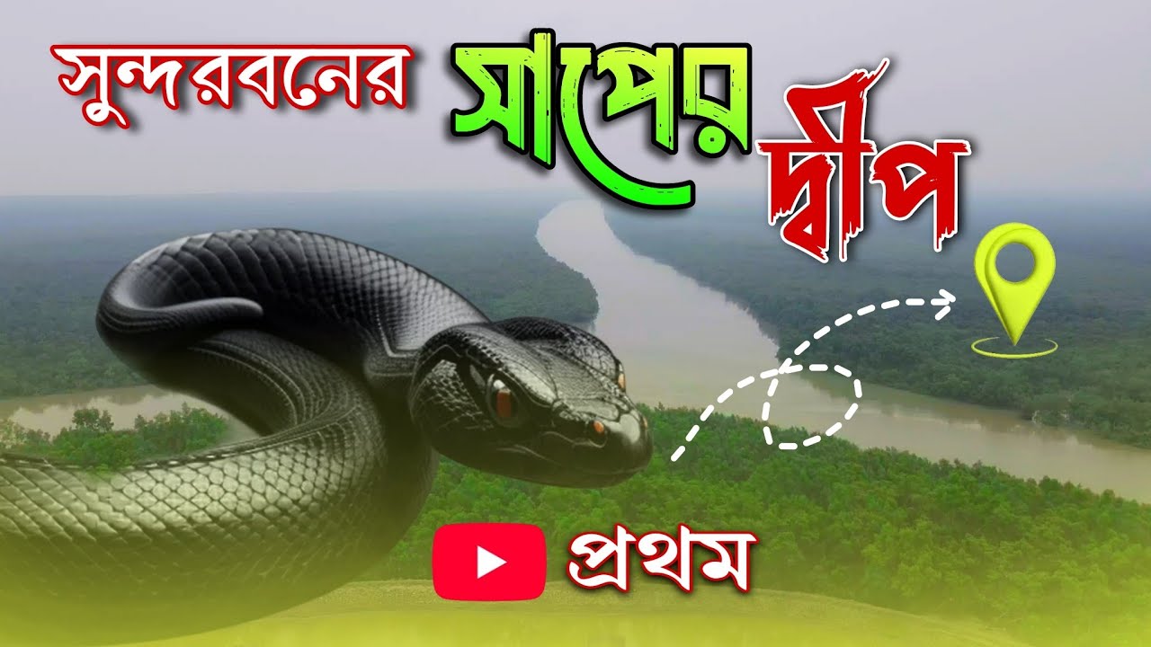 সুন্দরবনে সাপের দীপ 😱//Lothian Island//sundarban snake island