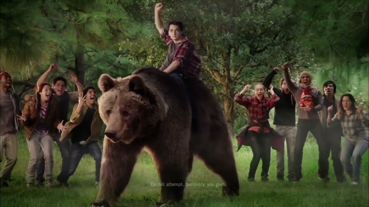 Robert Firth: Bold On Bold:  Bear
