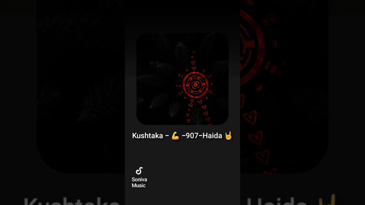 FurriaN - #907haida #shortsfeed #shorts  #native #viral #viralvideo #canida #gas #rap #trap #song 